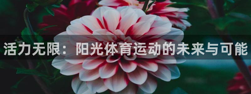 米兰体育平台