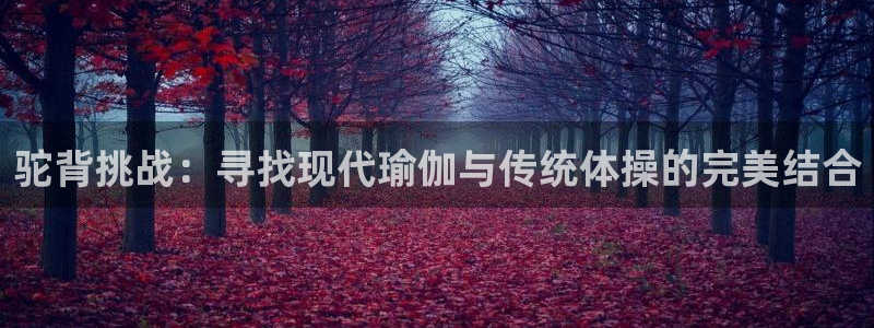 米兰体育场