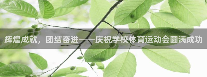 米兰体育登录