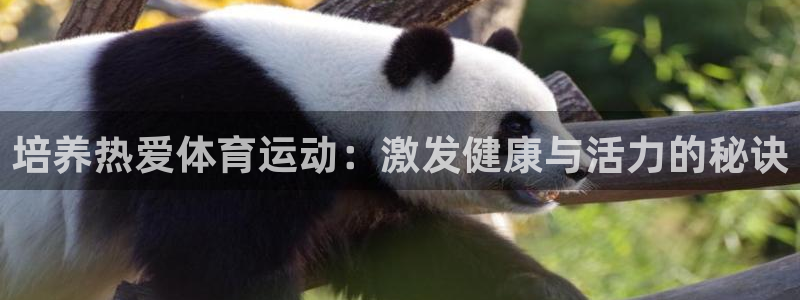 米兰体育网站