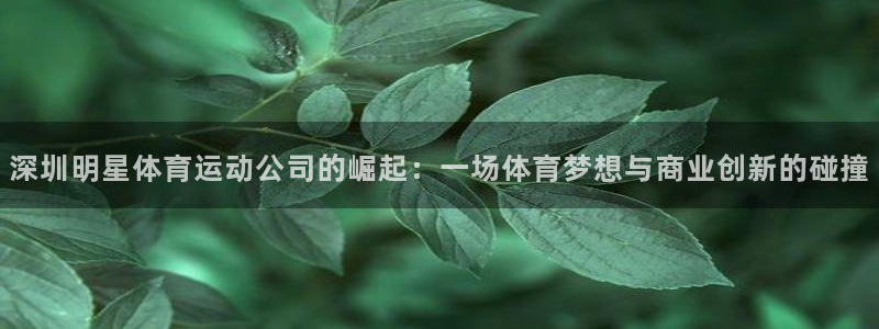 米兰体育官方下载入口