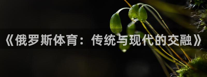 米兰体育最新版下载
