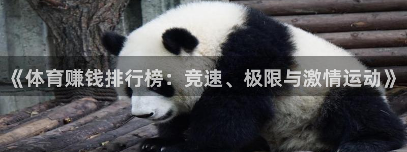 米兰体育最新版下载