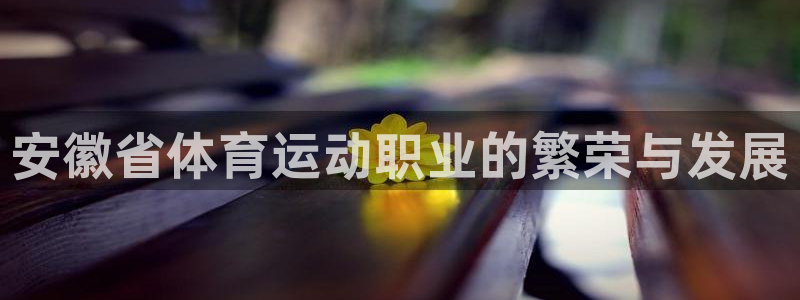 米兰体育怎么样
