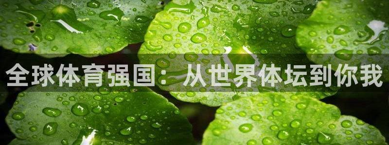 米兰体育官网入口